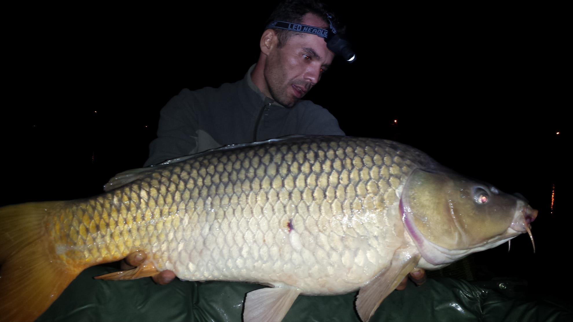 Hermes Peris 25 - 27 septembrie 2015 - 20150926010544.jpg